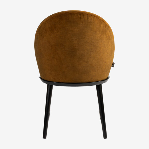 Livio - Image 4