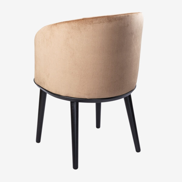 Rudy - Image 3